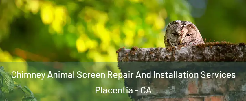  Chimney Animal Screen Repair And Installation Services Placentia - CA