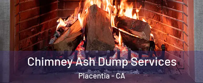  Chimney Ash Dump Services Placentia - CA