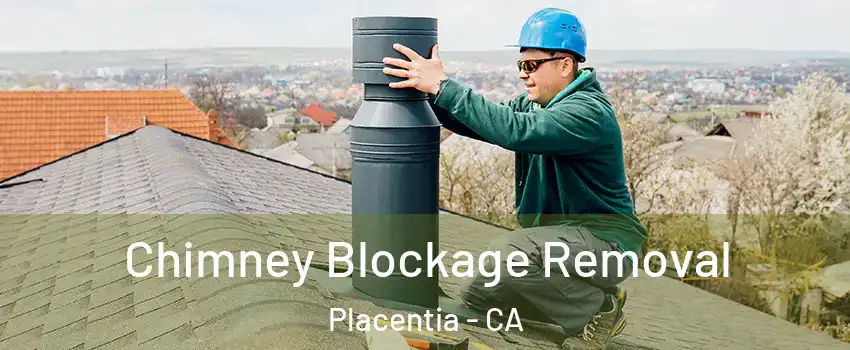  Chimney Blockage Removal Placentia - CA
