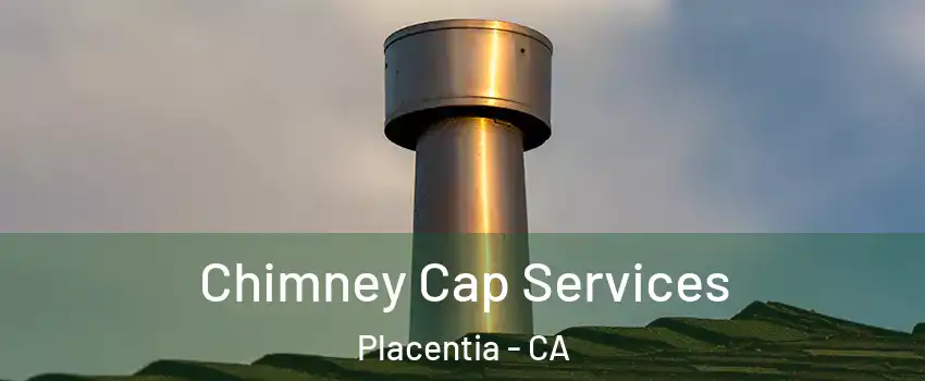  Chimney Cap Services Placentia - CA