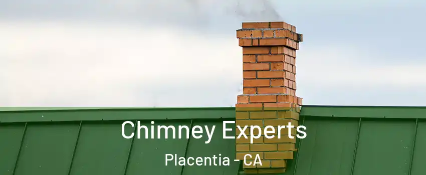 Chimney Experts Placentia - CA