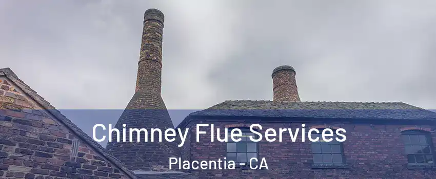  Chimney Flue Services Placentia - CA