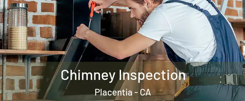  Chimney Inspection Placentia - CA