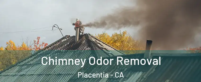  Chimney Odor Removal Placentia - CA