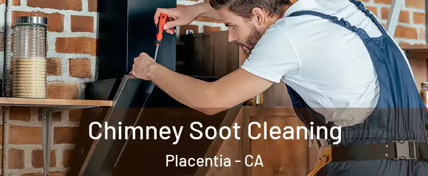  Chimney Soot Cleaning Placentia - CA