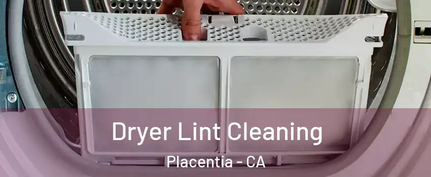  Dryer Lint Cleaning Placentia - CA