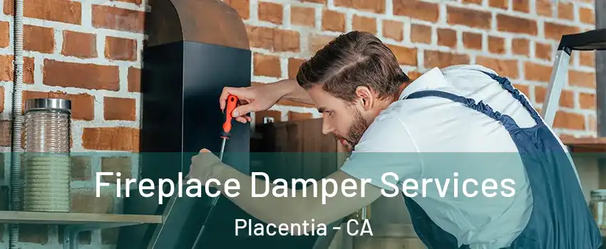  Fireplace Damper Services Placentia - CA