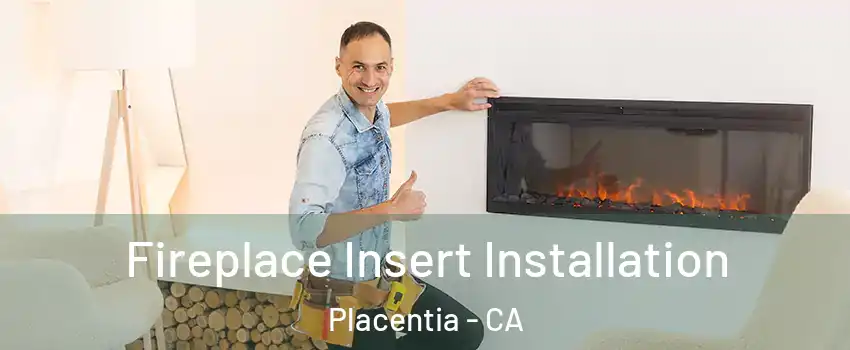  Fireplace Insert Installation Placentia - CA