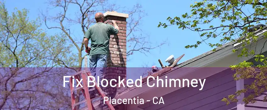  Fix Blocked Chimney Placentia - CA