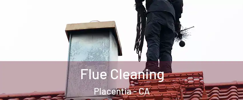  Flue Cleaning Placentia - CA