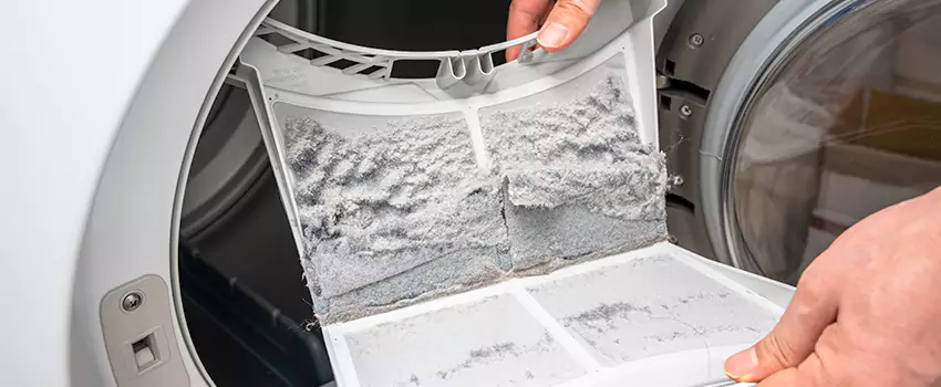 Best Dryer Lint Removal Company in Placentia, California