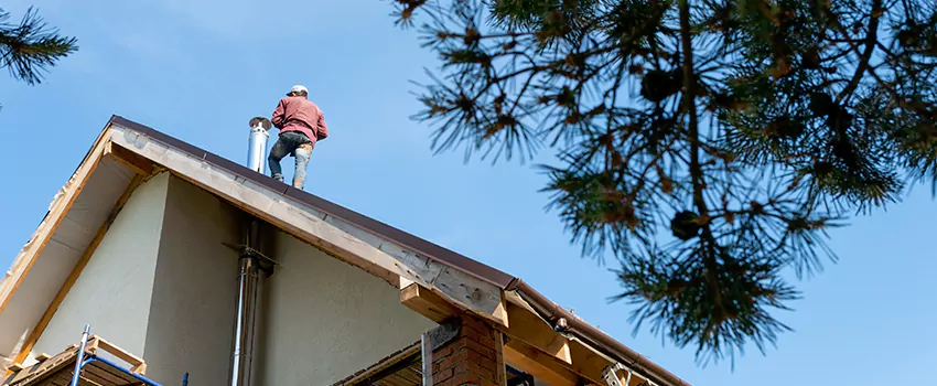 Birds Removal Contractors from Chimney in Placentia, CA