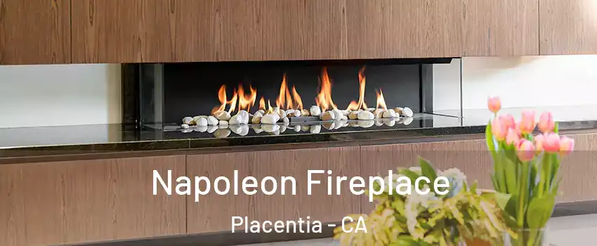  Napoleon Fireplace Placentia - CA