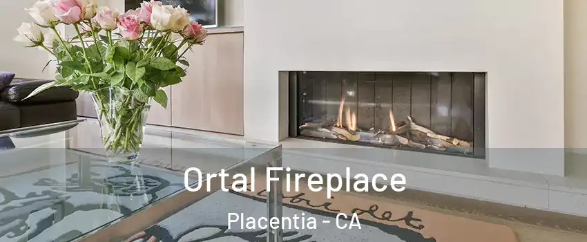 Ortal Fireplace Placentia - CA