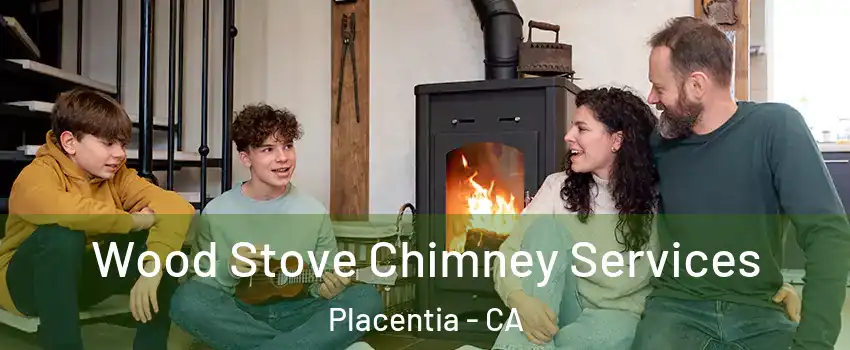  Wood Stove Chimney Services Placentia - CA